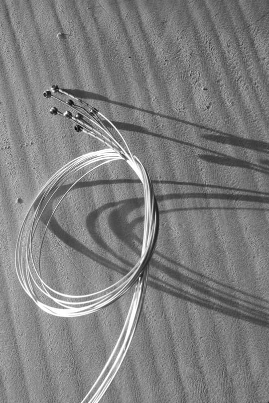 Liens amis - Patrick Robin luthier à Angers